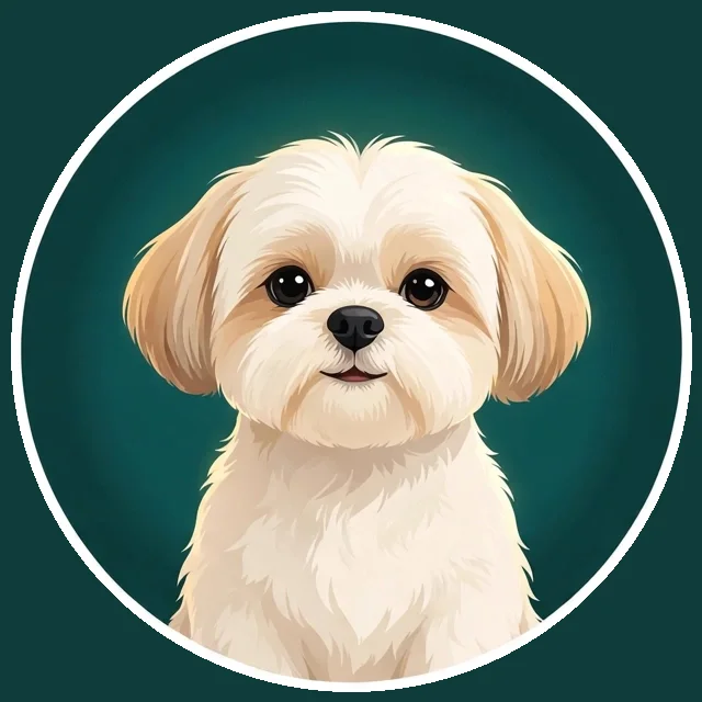 Cooper